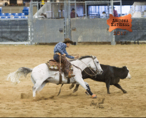 champion working cow horse performance after the arena was prepared by riata drag